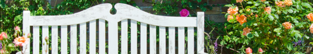 ラケットについての関連情報